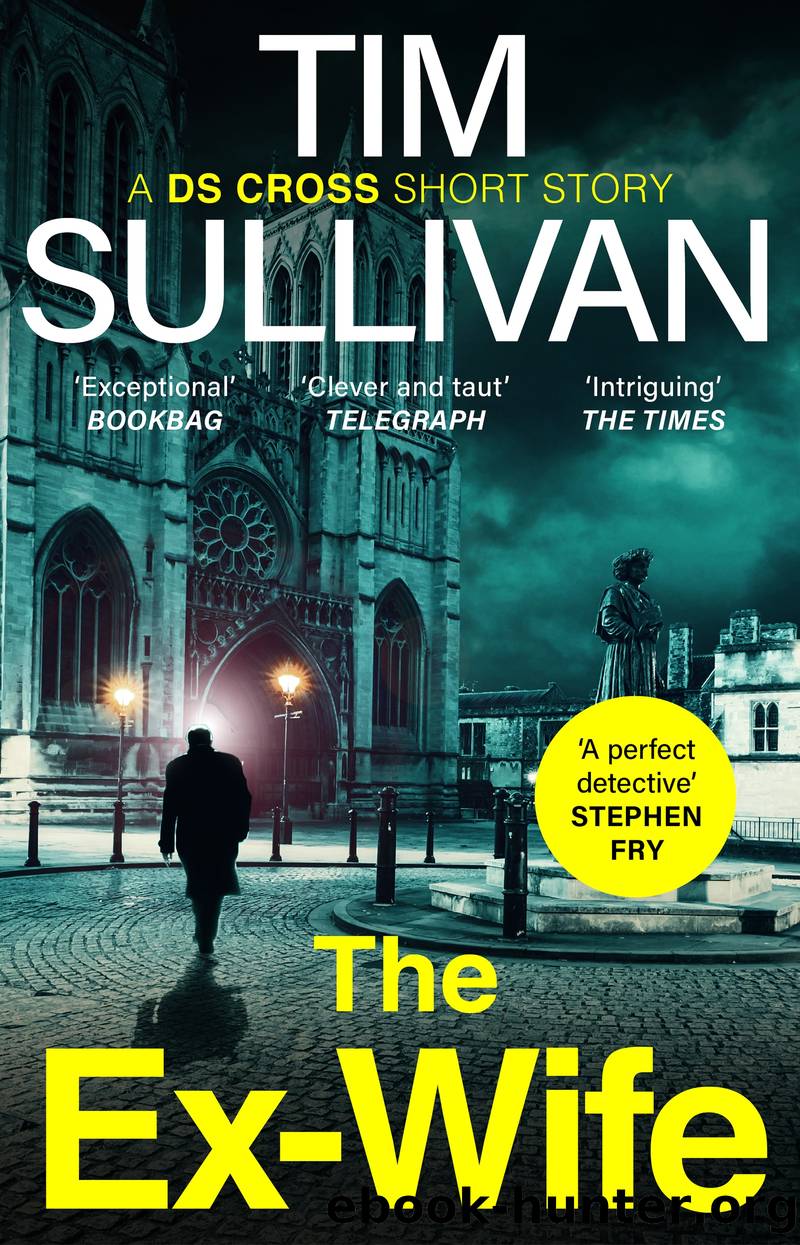 The Ex-Wife by Tim Sullivan