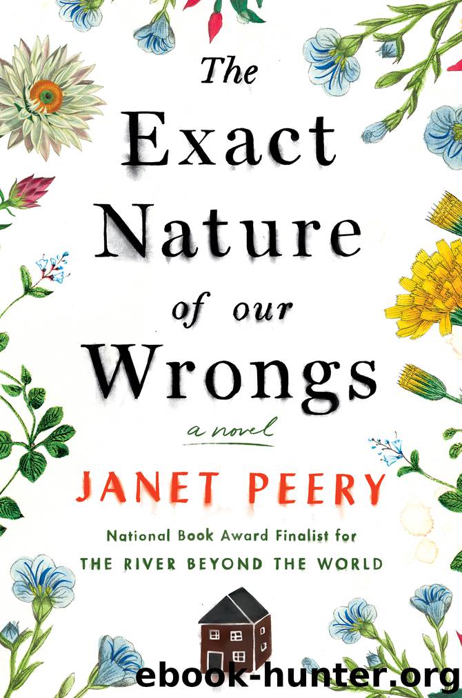 The Exact Nature of Our Wrongs by Janet Peery