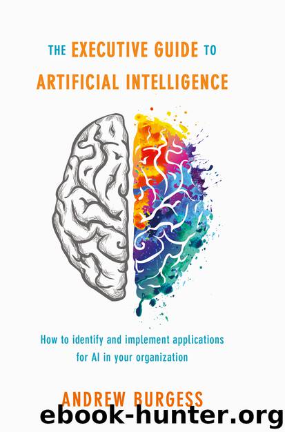 The Executive Guide to Artificial Intelligence by Andrew Burgess