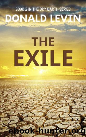 The Exile by Donald Levin