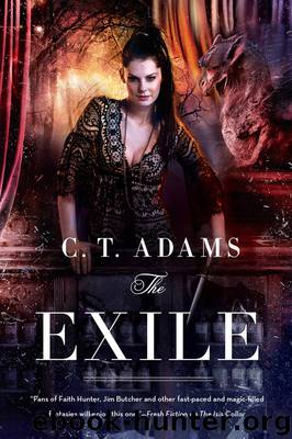 The Exile--Book One of the Fae by C.T. Adams