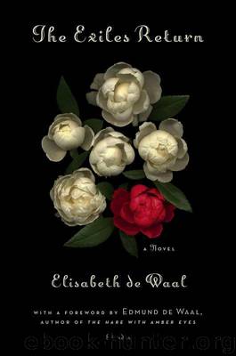The Exiles Return: A Novel by de Waal Elisabeth