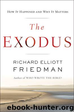 The Exodus by Richard Elliott Friedman
