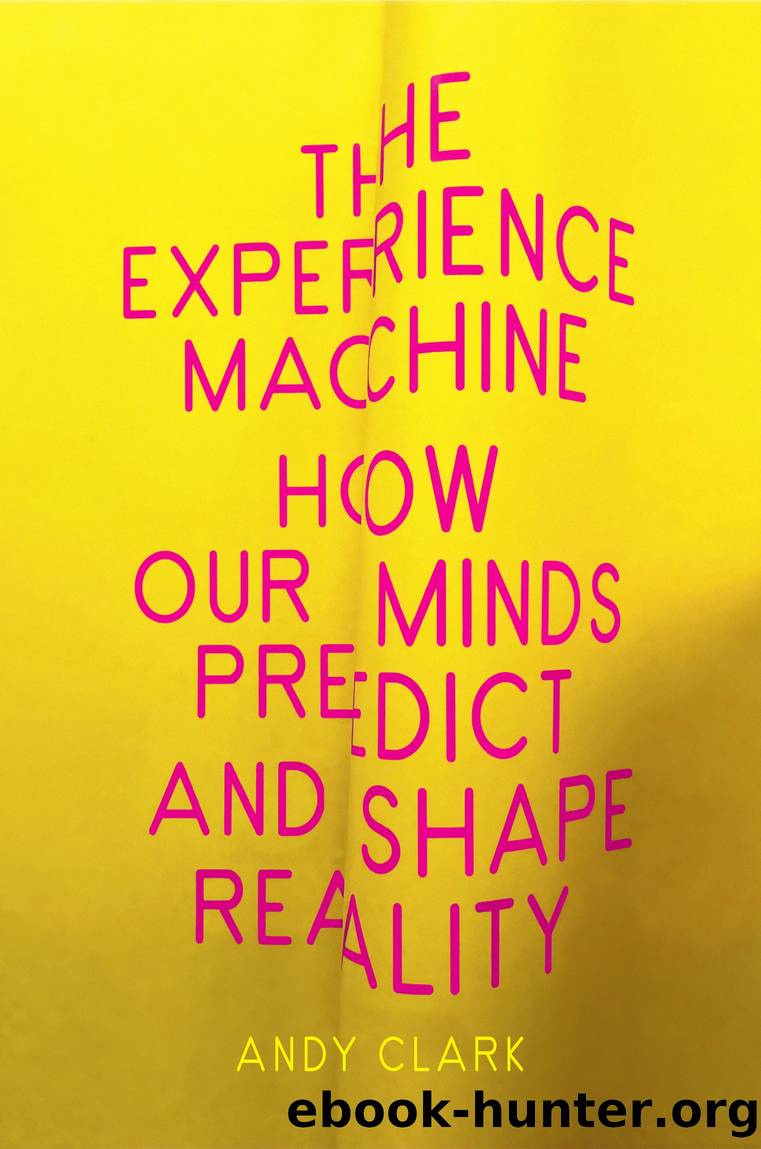 The Experience Machine by Andy Clark