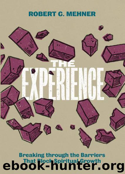 The Experience by Robert C. Mehner