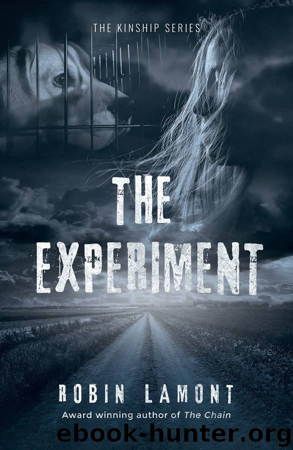 The Experiment by Robin Lamont