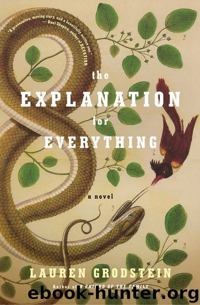 The Explanation for Everything A Novel by Lauren Grodstein