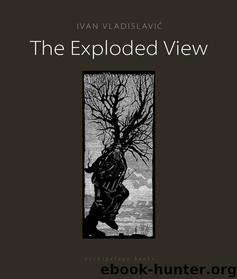 The Exploded View by Ivan Vladislavic