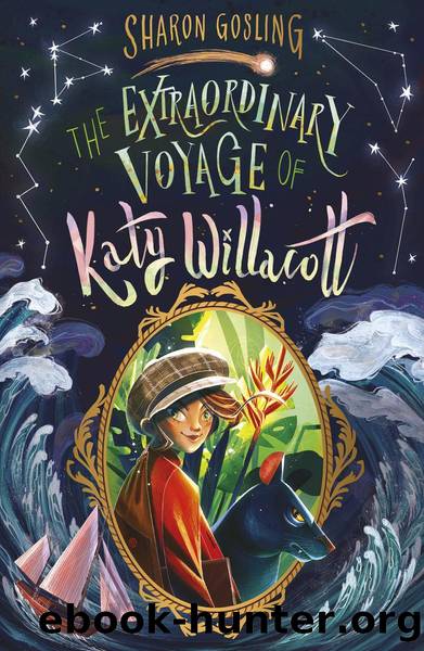 The Extraordinary Voyage of Katy Willacott by Sharon Gosling