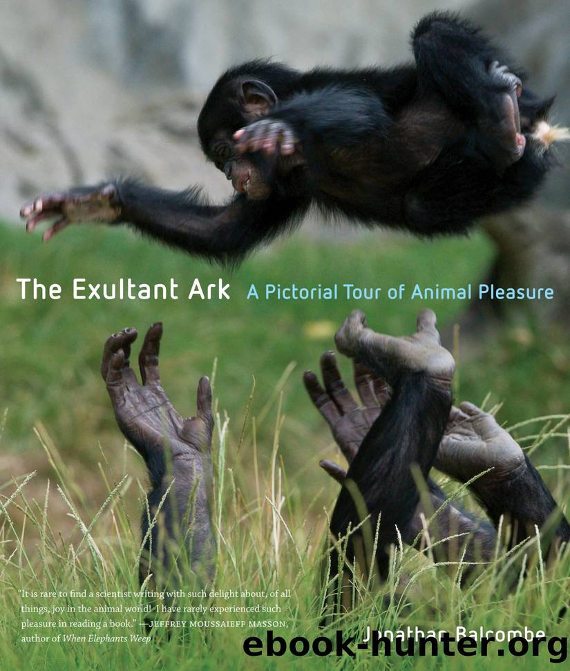 The Exultant Ark: A Pictorial Tour of Animal Pleasure by Jonathan Peter Balcombe