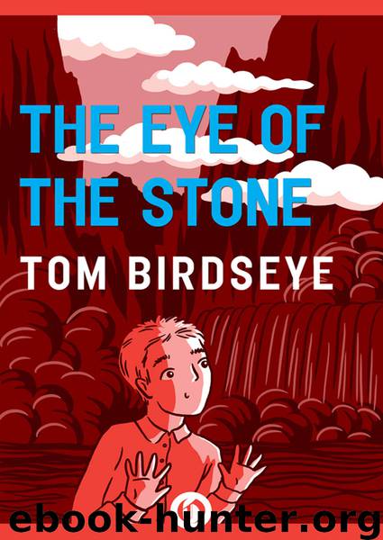 The Eye of the Stone by Tom Birdseye