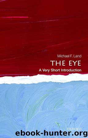 The Eye: A Very Short Introduction by Michael F. Land