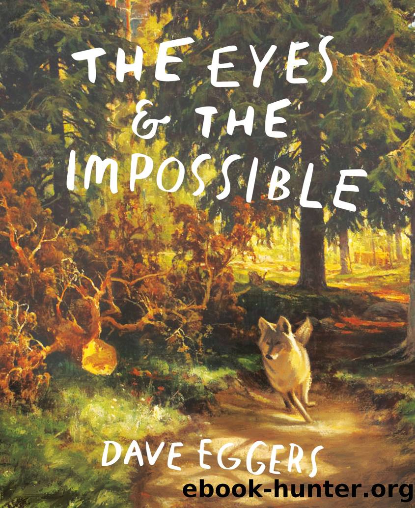 The Eyes and the Impossible by Dave Eggers