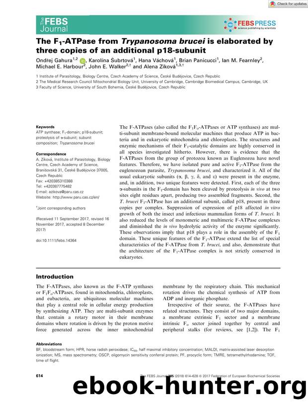 The F1âATPase from Trypanosoma brucei is elaborated by three copies of an additional p18âsubunit by Unknown
