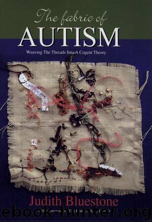 The Fabric of Autism by Judith Bluestone