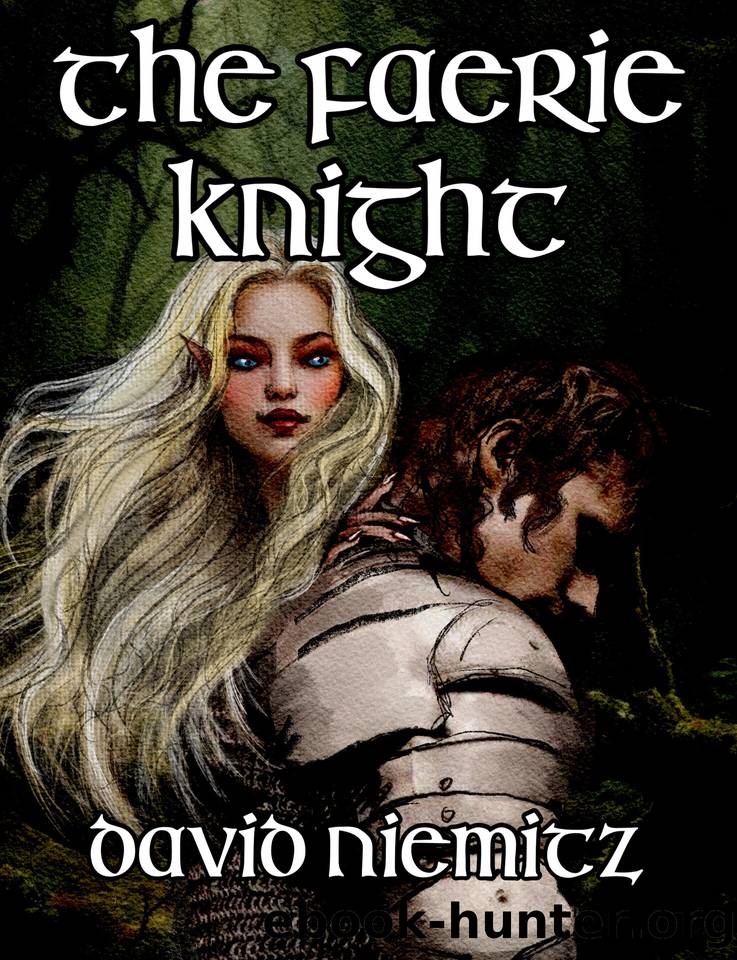 The Faerie Knight by Niemitz David