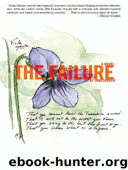 The Failure_A Novel by James Greer