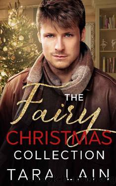 The Fairy Christmas Collecton by Tara Lain
