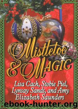 The Fairy Godmother by Sands Lynsay