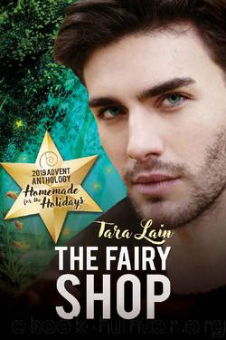 The Fairy Shop (2019 Advent Calendar - Homemade for the Holidays) by Tara Lain