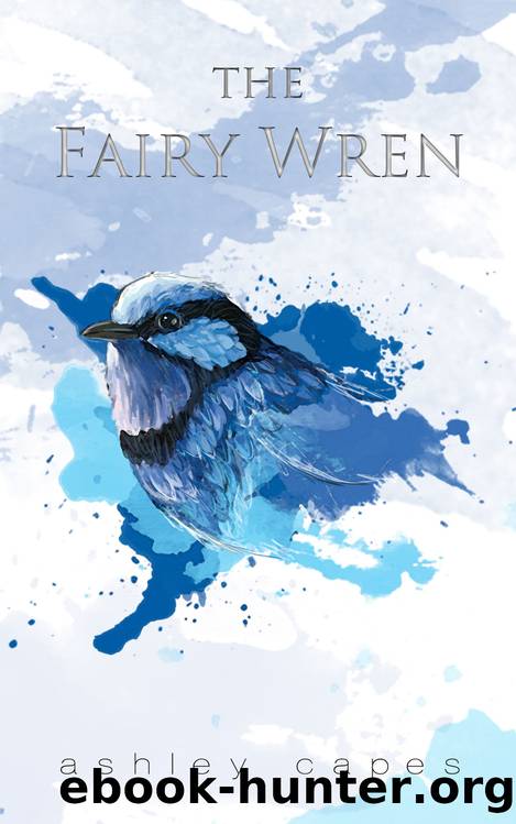 The Fairy Wren by Ashley Capes