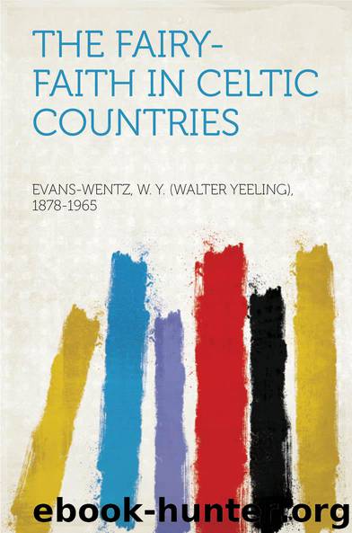 The Fairy-Faith in Celtic Countries by Evans-Wentz W. Y. (Walter Yeeling) 1878-1965