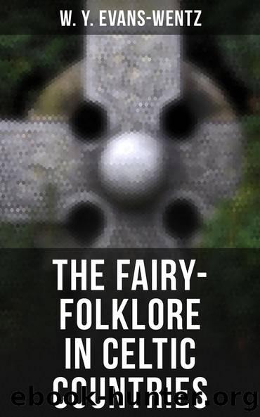 The Fairy-Folklore in Celtic Countries by W. Y. Evans-Wentz