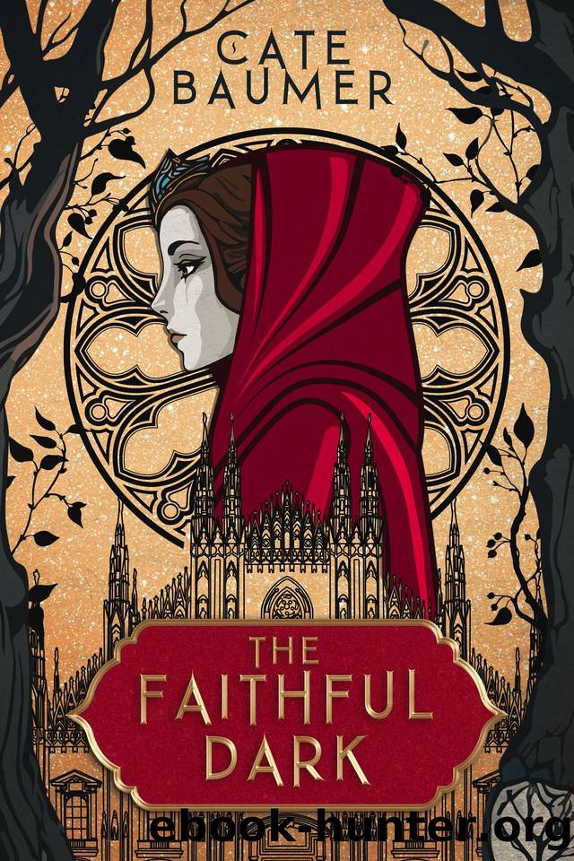 The Faithful Dark (The Brilliant Soul Duology Book 1) by Cate Baumer