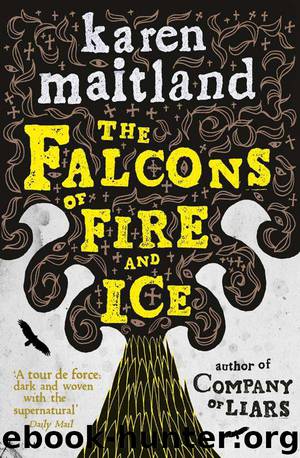 The Falcons of Fire and Ice by Maitland Karen