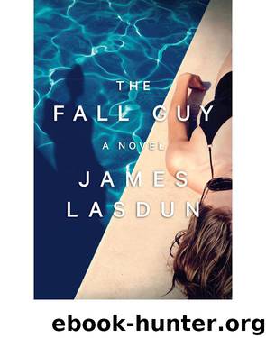 The Fall Guy by James Lasdun