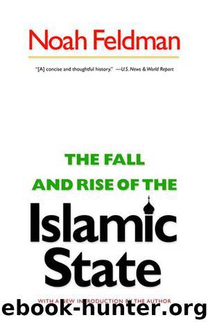 The Fall and Rise of the Islamic State by Feldman Noah