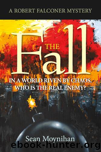 The Fall by Sean Moynihan