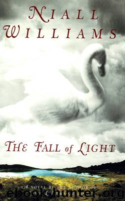 The Fall of Light by Niall Williams