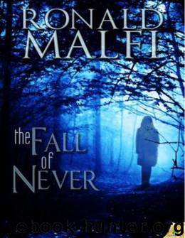 The Fall of Never by Ronald Malfi