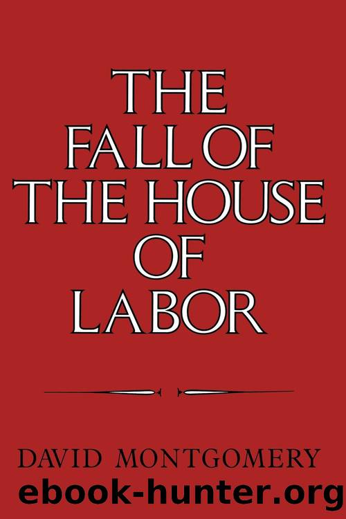 The Fall of the House of Labor by David Montgomery