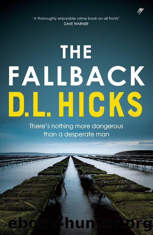 The Fallback by D.L. Hicks