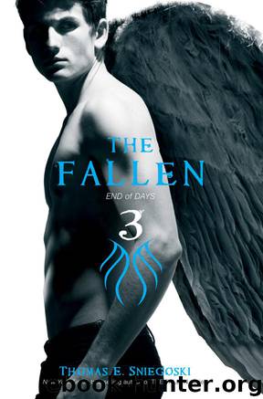 The Fallen 3 by Thomas E. Sniegoski