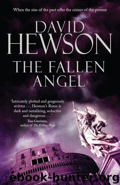 The Fallen Angel by David Hewson