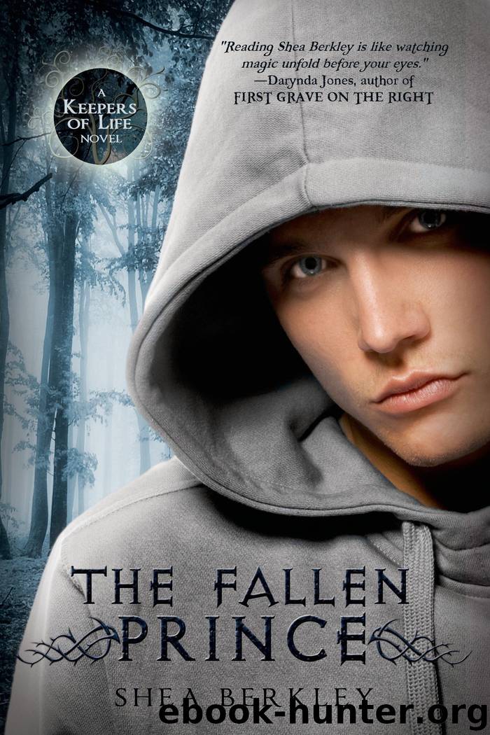 The Fallen Prince (Keepers of Life Novels) by Shea Berkley