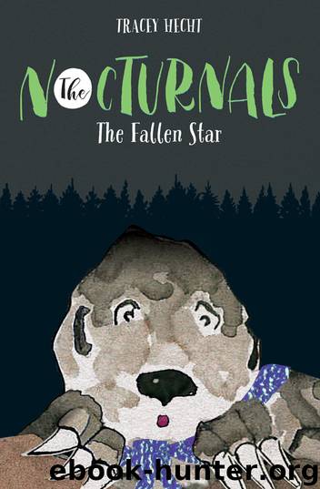 The Fallen Star by Tracey Hecht