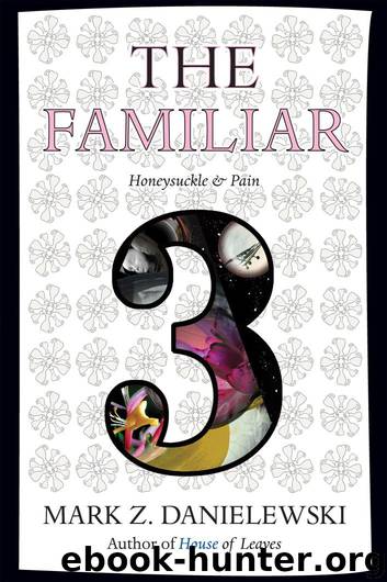The Familiar, Volume 3 by Danielewski Mark Z