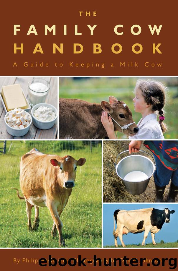 The Family Cow Handbook by Philip Hasheider