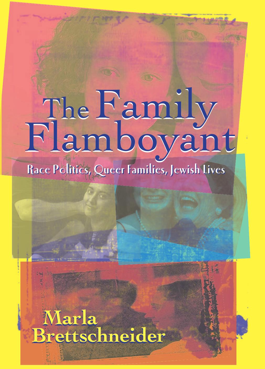 The Family Flamboyant: Race Politics, Queer Families, Jewish Lives (S U N Y Series in Feminist Criticism and Theory) by Marla Brettschneider