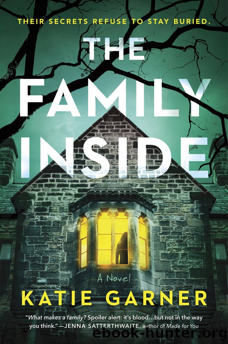 The Family Inside by Katie Garner