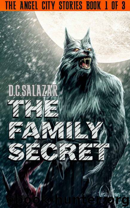 The Family Secret by D C Salazar