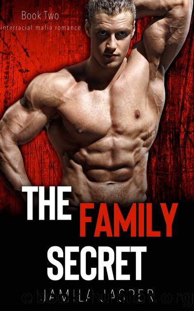 The Family Secret by Jamila Jasper