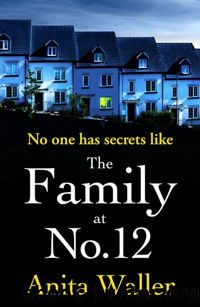 The Family at No. 12 by Anita Waller