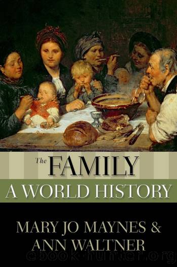 The Family by Mary Jo Maynes;Ann Waltner;