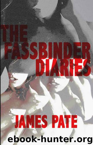 The Fassbinder Diaries by James Pate