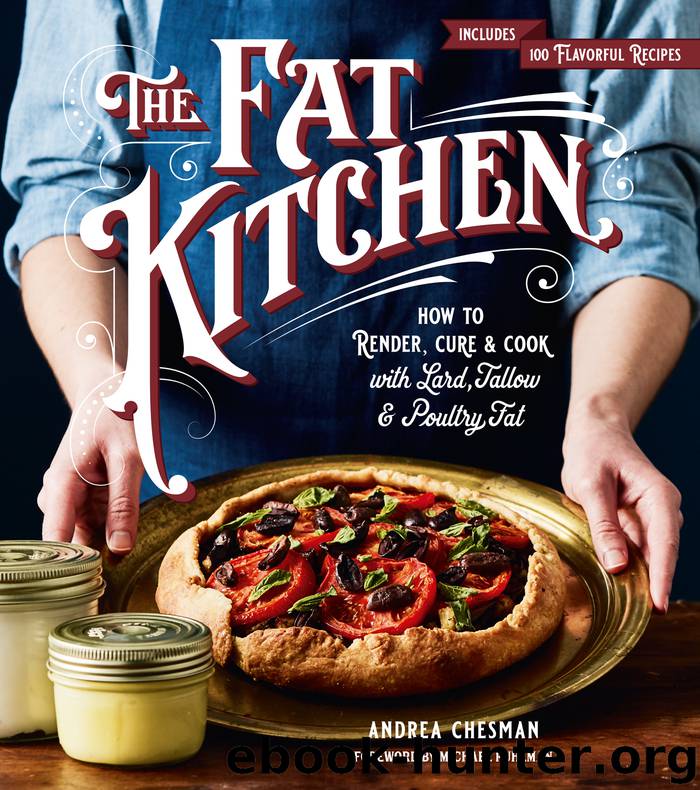 The Fat Kitchen by Andrea Chesman